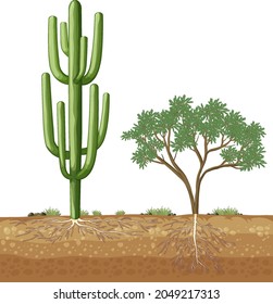 Big cactus growing next to the tree illustration