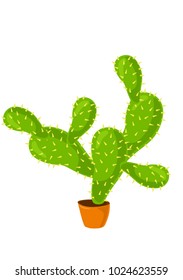 A big cactus in pot