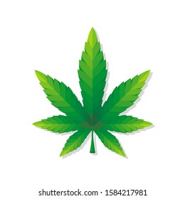 Big cannabis leaf, realistic vector image, white background