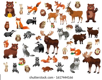 Big cartoon forest animals vector set for children. Mega collection of animals in different postures for kids. Isolated on white background