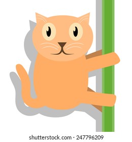 Big cat climbs on bamboo