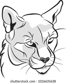Big cat, Killing, Jaguar