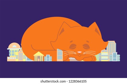 Big cat in small City. Huge pet in town
