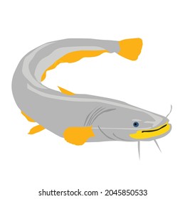 big catfish simple vector design