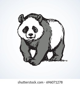 Big cat-foot Ailuropoda melanoleuca standing on light backdrop. Freehand linear dark ink hand drawn picture logo sketchy in art retro scribble style pen on paper. Closeup side view with space for text
