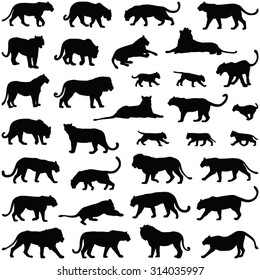 Big cats collection - vector silhouette