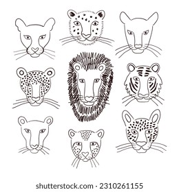 Big cats faces isolated collection, black and white. Lion, tiger, leopard, jaguar, panther, cougar, cheetah. Hand drawn vector illustration. Line art style design. Animal characters, wildlife elements