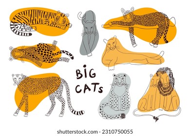 Big cats isolated collection, abstract shapes. Lion, tiger, leopard, jaguar, panther, cougar, cheetah. Hand drawn vector illustration. Line art style design. Animal characters, wildlife elements