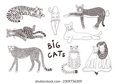 Big cats isolated collection, black white. Lion, tiger, leopard, jaguar, panther, cougar, cheetah. Hand drawn vector illustration. Line art style design. Animal characters, wildlife clipart elements