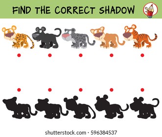 Big cats. Leopard, panther, snow leopard, puma, tiger. Find the correct shadow. Educational game for children. Cartoon vector illustration.