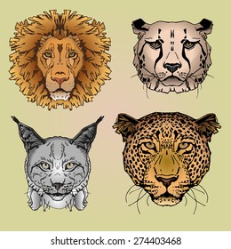 Big Cats portrait image set for postcards, cards, illustration and other design and decoration needs. 