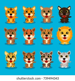 Big cats set. Vector illustration