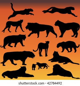 big cats silhouette collection - vector