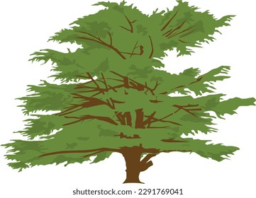 Big Cedar Tree vector illustration 