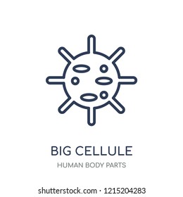 Big Cellule icon. Big Cellule linear symbol design from Human Body Parts collection.