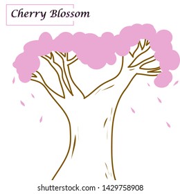 A Big Cherry Blossom Tree