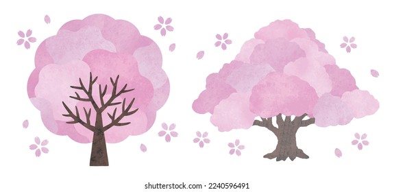 Big cherry blossom trees watercolor