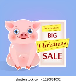 Big Christmas Sale with chubby piglet poster design. Bright inscriptions in frame with sitting piglet on light blue background. Can be used for sales, shops, discounts
