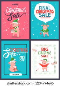 Big Christmas sale holiday discount set of postcards, cartoon pigs. Vector pink piglets animals, New year ball decoration element, gift boxes and candy