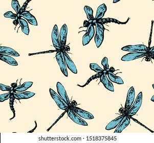 Big closeup cute anisoptera on light backdrop. Freehand dark grey ink hand drawn logo pictogram emblem design in retro artistic doodle contour etching style pen on paper. Close up micro detail view