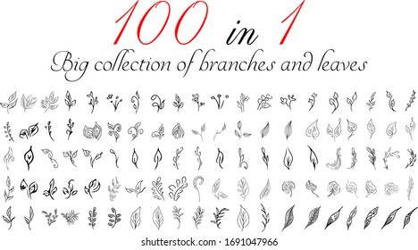 Big collection of 100 hand-drawn branches and leaves. Big floral botanical leaves and brunches set isolated on a white background. Hand drawn vector collection. Spring blossom