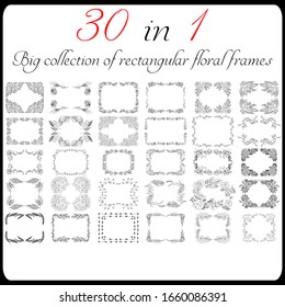 Big collection of 30 rectangular floral frames. Big floral botanical flowers set isolated on a white background. Hand drawn outline vector collection. Spring blossom