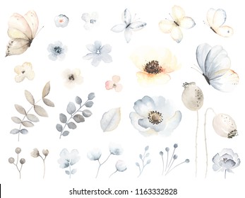 Big collection of abstract design elements. Vector illustration tender flowers and flying butterflies in vintage watercolor style for your design.