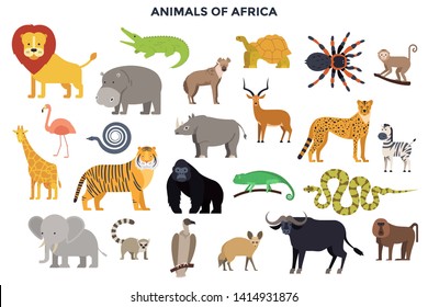 Big collection of adorable wild animals of Africa. Bundle of cute funny exotic cartoon African mammals, reptiles, birds isolated on white background. Colorful vector illustration in flat style. 