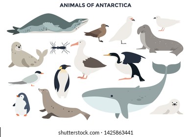 Big collection of adorable wild animals of Antractica. Bundle of cute funny cartoon Antarctic marine mammals and seabirds isolated on white background. Colorful vector illustration in flat style.