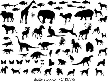 Big collection of animals silhouettes; vector