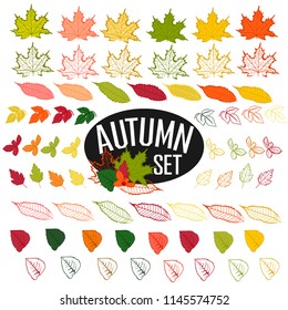 Big collection of autumn leaves flat design. Openwork and flat leaves in a cartoon style. Templates for creating banners, flyers and postcards. Vector illustration isolated on white background.