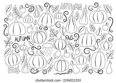 Big Collection of Autumn Plants, Pumpkins Designs. Apples, Pears, Acorns, Lot of Leaves and Deco Elements. Elegant Natural Motifs. Hand Drawn Style. Vector Illustration