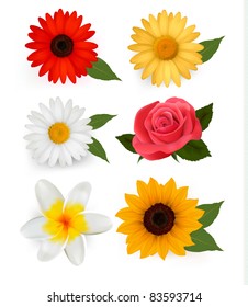 Big collection of beautiful colorful flowers. Vector illustration.