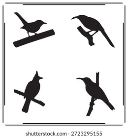 Una gran colección de la silueta del pájaro, logotipo de la silueta del pájaro aislado en el fondo blanco.