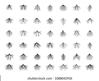 Big collection of Black Root Tree. Vector Illustration. Plants and garden.