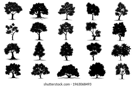 Big collection black tree silhouettes vector Symbol style and white background. Can be used for your work.