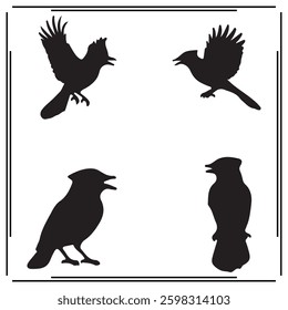 A big collection of Blue jay silhouette set, Blue jay silhouette logo isolated on white background.