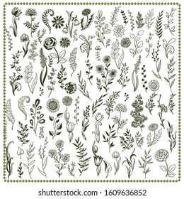 Big collection with branches, flowers and herbs with leaves. Set of hand drawn vector decorative elements for your design.