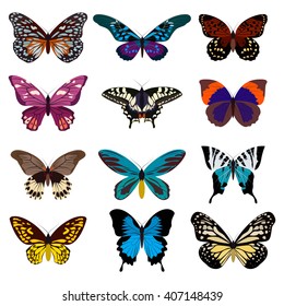 Big collection butterfly of colorful icon set. Art butterflies isolated on white. Vector illustration