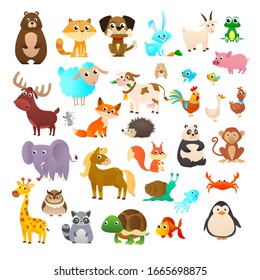 Big collection cartoon animals: Sea animals, wild animals, woodland animals. 
