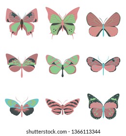 Big collection of colorful butterflies. Vector