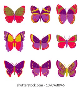 Big collection of colorful butterflies. Vector