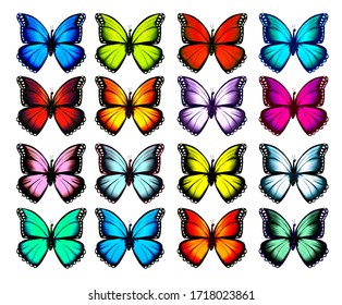 417,461 Bright butterfly Images, Stock Photos & Vectors | Shutterstock