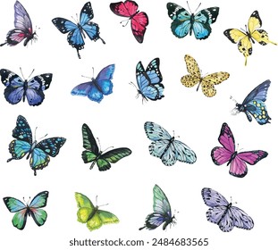 Big collection of colorful butterflies. Vector
Flying butterfly concept illustration