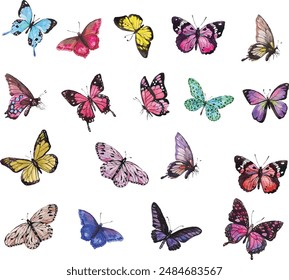 Big collection of colorful butterflies. Vector
Flying butterfly concept illustration