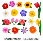 Big collection of colorful flowers. Vector illustration.
