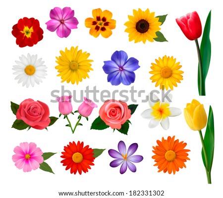 Big collection of colorful flowers. Vector illustration.