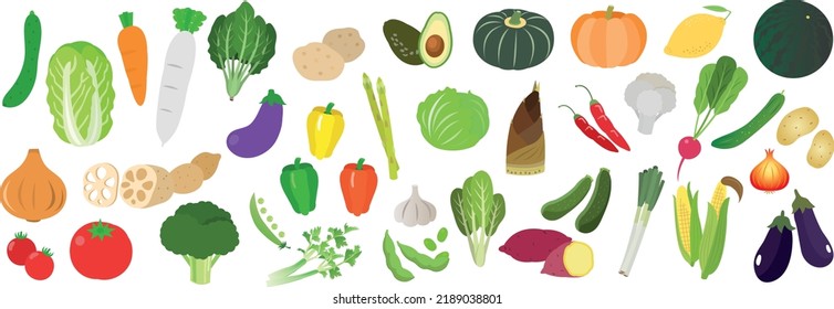 Big collection of colorful hand drawn fresh vegetables, isolated on white background. Set of healthy vegan products. Vector illustration.
