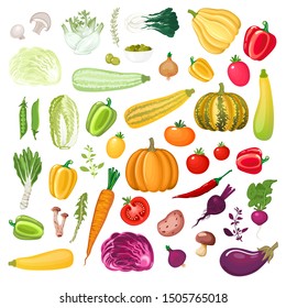 Big collection of colorful vegetables, mushrooms and aromatic herbs. Farm fresh crop arranged by color scheme. Cooking ingredients icons. Culinary series. Vector illustration.