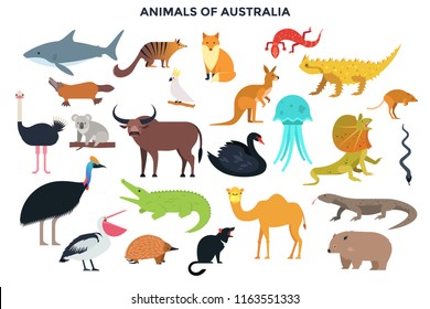 Big Collection Of Cute Funny Wild Animals Of Australia. Bundle Of Adorable Cartoon Australian Mammals, Birds, Reptiles, Fish Isolated On White Background. Colorful Vector Illustration In Flat Style.